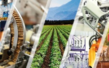 Relance économique : Croissance en vue malgré un contexte atone