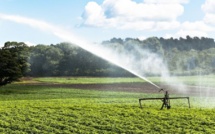 Casablanca : Six projets d’arrosage des espaces verts par des eaux usées