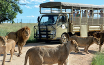 Tourisme : Faire un safari au Maroc ? Bientôt possible !