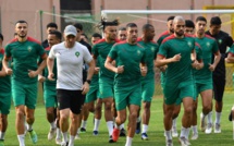 CAN 2021 : Aujourd’hui à 17h00, les Lions de l’Atlas et les Cœlacanthes s’arracheront les 3 points