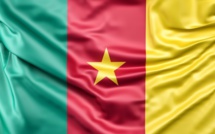 CAN 2021 /  Cameroun-Comores : Une bousculade aurait fait 7 morts et des blessés aux abords du stade abritant le match
