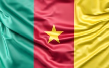 CAN 2021 /  Cameroun-Comores : Une bousculade aurait fait 7 morts et des blessés aux abords du stade abritant le match