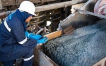 Managem/Glencore : Vers la production de cobalt à partir de batteries recyclées