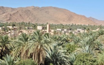 Guelmim-Oued Noun : Initiatives en faveur du secteur agricole