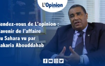 Interview avec Zakaria Abouddahab : Radioscopie des premiers mois de De Mistura