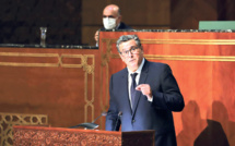 Politique culturelle : Vers une stratégie culturelle globale et économiquement viable