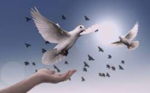 Positive Peace Report : Le Maroc perd sept places