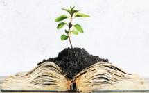 Papier ou tablette : L’industrie du livre subit le diktat de l’écologie