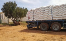 Casablanca-Settat : 255.000 quintaux d’orge pour sauver la saison agricole