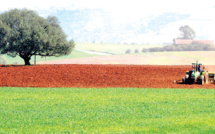 El Jadida / Soutien au monde rural : Les agriculteurs rassurés…