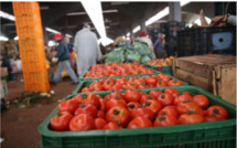 Les prix des tomates sèment la zizanie
