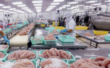 Développement durable : Vers une reconstruction post-Covid de l’industrie halieutique