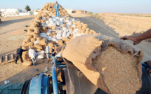 Approvisionnement en blé : Analyse des effets du conflit ukrainien sur le marché national