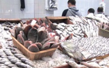 Rabat : Hausse record des prix de poisson