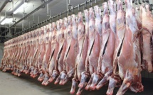 Casablanca : Les Abattoirs certifiés ISO 9001 pour la 5ème fois