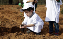 Casablanca Baia : Lancement du programme "écoles vertes" pour la sensibilisation des écoliers