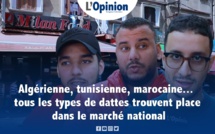 Algérienne, tunisienne, marocaine... tous les types de dattes trouvent place dans le marché national