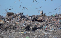Casablanca : 260 hectares pour le traitement des déchets