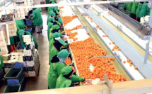 ASMEX et AMDIE : L’agroaliementaire comme levier de développement de la coopération Sud-Sud