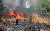 Etude : Vivre à proximité d’un feu de forêt augmente les risques de cancer