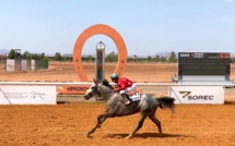 Courses de chevaux Pur-sang Arabe :  Clôture en apothéose du Festival de Son Altesse Sheikh Mansoor Bin Zayed Al Nahyan