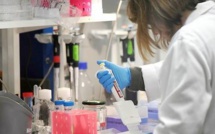 Variole du singe : 550 cas confirmés dans 30 pays