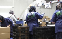 Palestine : La Norvège va étiqueter les produits des colonies de Cisjordanie occupée