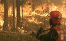 Canicule : L’Espagne en proie aux incendies