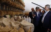 Berrechid / Semences certifiées : La tutelle s’enquiert de projets d'agrégation des producteurs