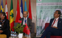 Casablanca / Cannabis : 3ème Congrès international sur l’utilisation thérapeutique