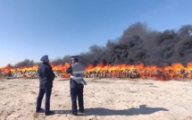 Rabat-Salé-Kénitra : Destruction de plus de 20 tonnes de drogues