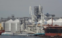 Ukraine / Céréales : La Mer Noire fonctionnelle pour l’exportation