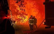 Incendie de forêt : 700 hectares partis en fumée en France