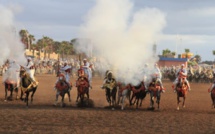 El Jadida : Entre les Doukkalis et le cheval, un lien particulier