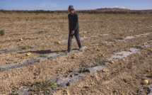 Face au manque d'eau, des villageois entre larmes et fatalisme (REPORTAGE)