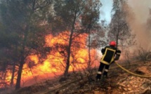 Feu de forêt Cabo Negro : Décès de 3 éléments de la Protection civile et interpellation de 4 individus