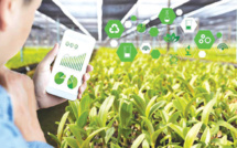 Fellah-Tech : La technologie au service de l’agriculture