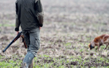 Sécheresse et incendies de forêt : Faut-il annuler la saison de chasse 2022-2023 ?