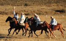 Larache / Festival équestre : Les cavaliers des tribus Jbalas consacrent un patrimoine ancestral