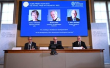 Le Nobel de chimie à un trio américano-danois, dont un rarissime double Nobelisé Sciences et technologies
