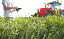 High-Tech Agriculture : Le Maroc participe à une conférence à Eilat