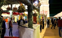 Salon International des Dattes au Maroc : Faire face à la multiplication des intermédiaires dans la filière phoenicicole