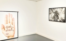 Exposition : La nature nue de Khadija El Abyad