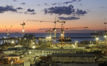 Le complexe portuaire Tanger Med peut satisfaire les exportations agricoles brésiliennes vers le monde