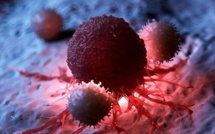 Marrakech : 2ème Congrès annuel de l’Oncologie médicale