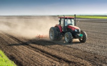 Casablanca-Settat : Lancement de la campagne agricole