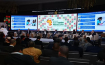 Conclusions de la conférence africaine sur la réduction des risques en santé 
