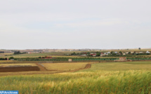 Casablanca-Settat / Agriculture : Des contraintes entachent le lancement de la campagne 2022-2023