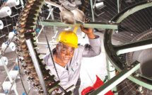Afrique-Industrialisation et diversification économique : Faire face à la faiblesse des investissements et au manque de capitaux