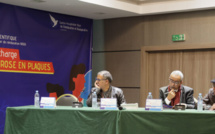 Casablanca / Rencontre : Pour une meilleure prise en charge de la sclérose en plaques